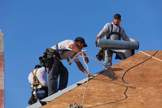 Best Metal Roofing Contractor  in Silver Springs Shores, FL