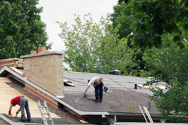 Best Roof Repair Services  in Silver Springs Shores, FL
