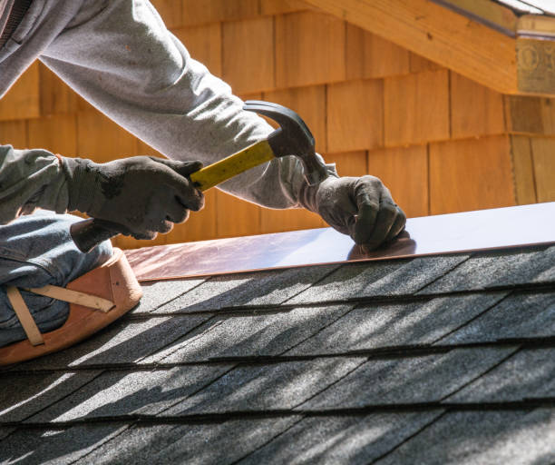 Roof Gutter Cleaning in Silver Springs Shores, FL
